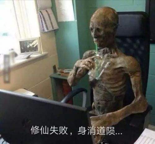 修仙Fail.jpeg
