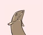 刑天鱼.gif