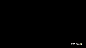崩坏3影铁skill T.gif