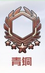 0-599级青铜边框
