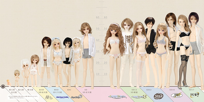 Ctg01 sdtype syurui imgF.jpg