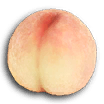 P3D Fruit 06 Mock Bottom.png