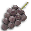 P3D Fruit 19 Dusk Pustules.png