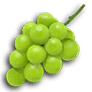 P3D Fruit 20 Dawn Pustules.png