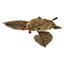 P3D Piklopedia 11 Desiccated Skitter Leaf.png