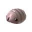 P3D Piklopedia 25 Female Sheargrub.png