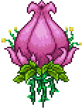 Plantera First form.gif