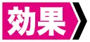 【效果】:表示能力的效果。