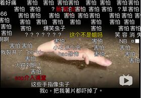 害怕.jpeg