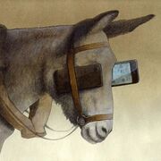 Pawel Kuczynski