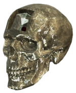 AC4 Crystal Skull render.png