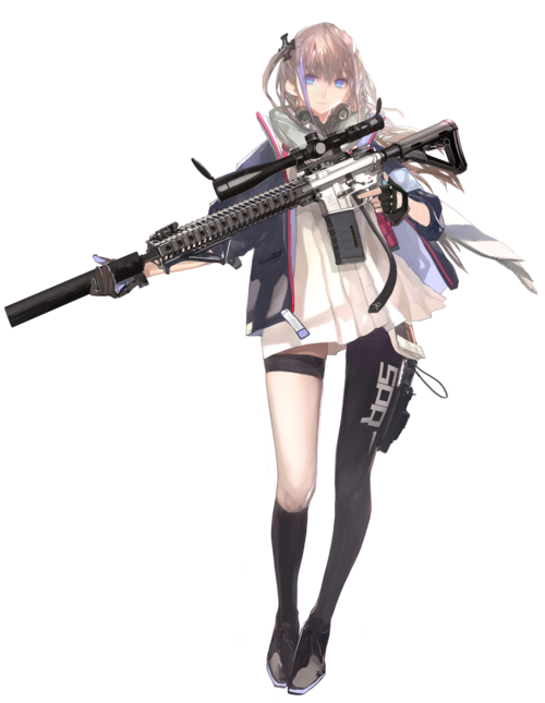 AR15.png