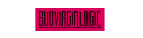 BUD VIRGIN LOGIC.png