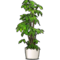 Bank2017 deco 06.png