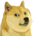Doge.png