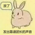 （并不）靠谱的团长