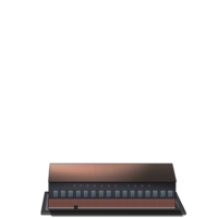 FairyContainerLV2.png