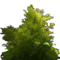 Hf2017 walldeco 01.png