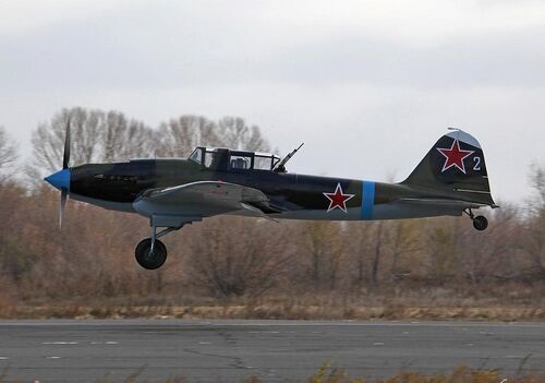 IL-2.jpg