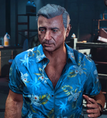 汤姆·谢尔顿 Tom Shelton 典型的德州佬，前代理人组织的办案员与直升机飞行员。里科的上司、好友兼导师。