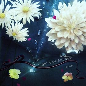 Light and Shadow.jpg