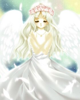 天使(萌属性)