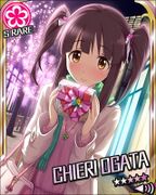 情人节天使 SR