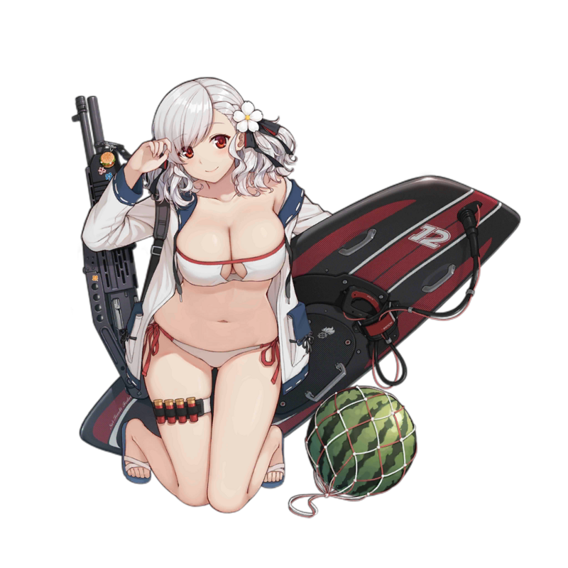 Pic SPAS12 2408.png