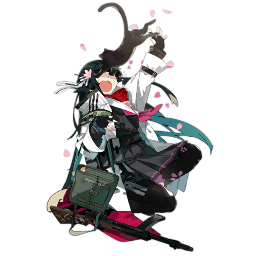 Pic Type100Mod D.png