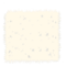 Qj2016 carpet.png