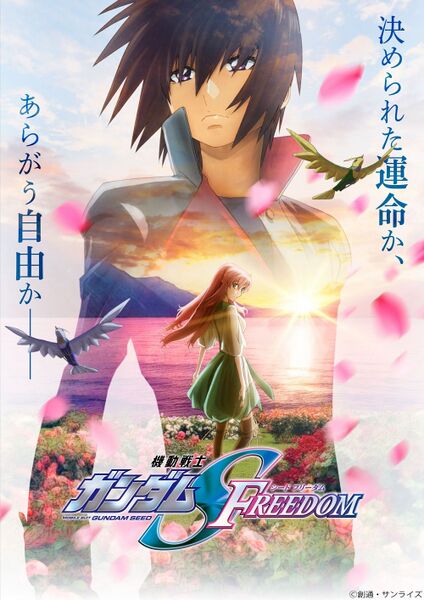 File:SEED FREEDOM 01.jpeg