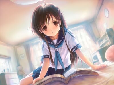 Setsumi03.JPG
