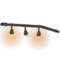 Sh2017 walldeco 02.png