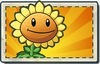 Sunflower Boosted Seed Packet.png