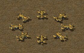 TS TRNSPORT unit.jpg