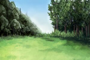 TeachingFeeling forest.jpg