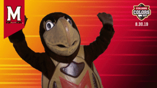 Testudo.gif
