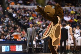 Testudo Cosplay.jpg