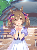 UPDSC 10039 SmartFalcon.png