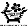 USSS logo.png