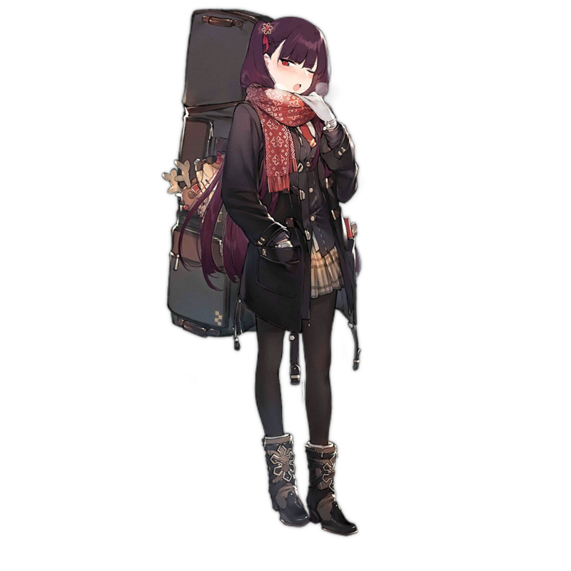 WA2000 306.png