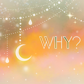WHY?.png